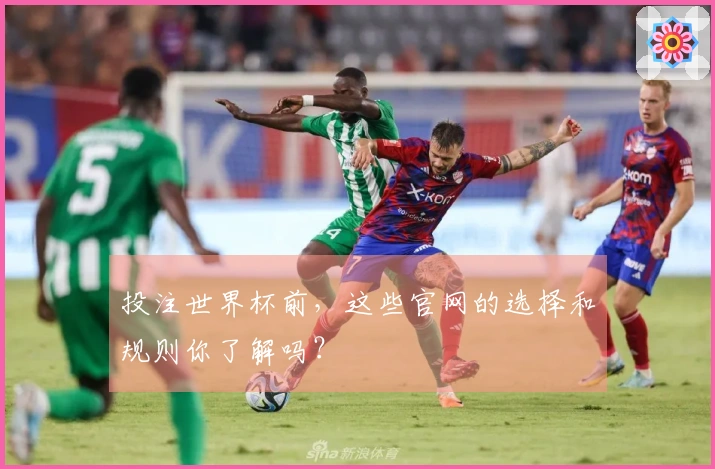 投注世界杯前，这些官网的选择和规则你了解吗？