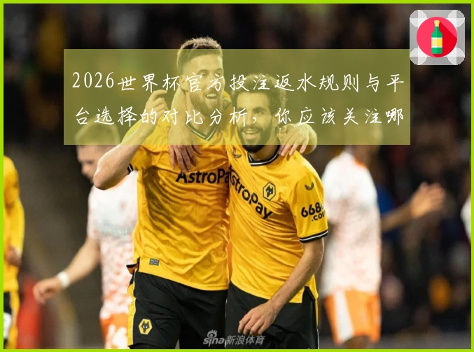 2026世界杯官方投注返水规则与平台选择的对比分析，你应该关注哪些关键点