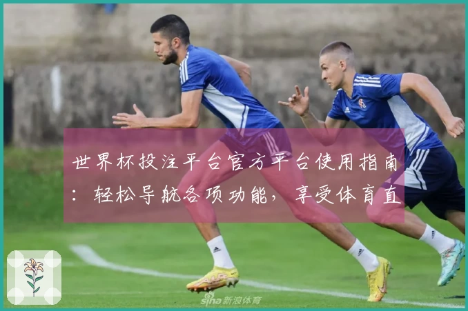 世界杯投注平台官方平台使用指南：轻松导航各项功能，享受体育直播体验