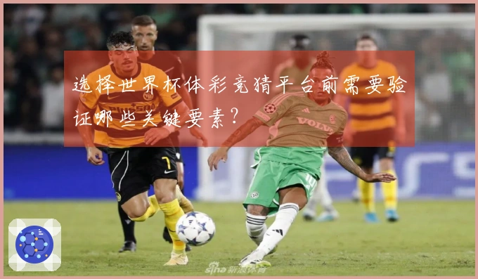 选择世界杯体彩竞猜平台前需要验证哪些关键要素？