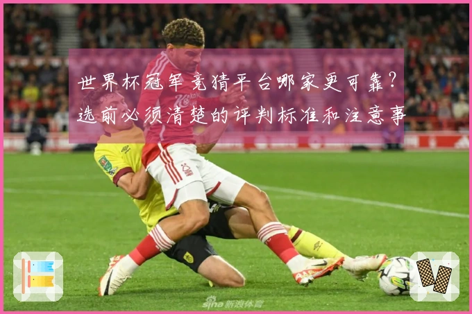 世界杯冠军竞猜平台哪家更可靠？选前必须清楚的评判标准和注意事项