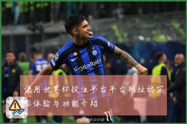 使用世界杯投注平台平台网址的实际体验与功能介绍