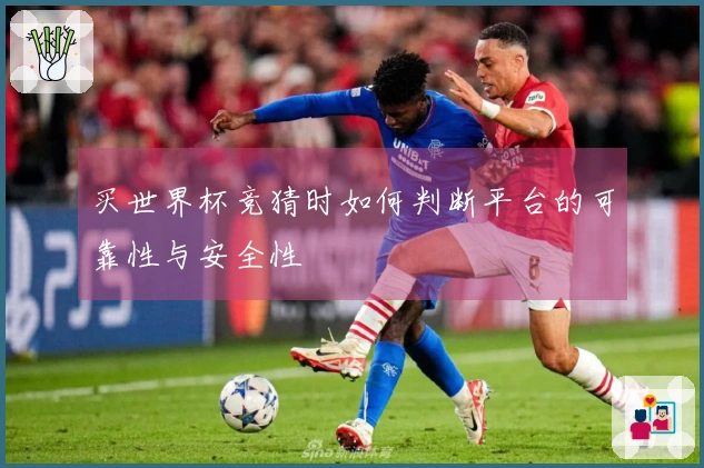买世界杯竞猜时如何判断平台的可靠性与安全性
