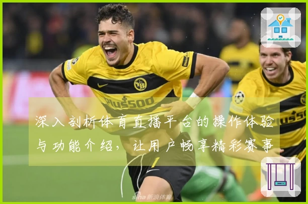 深入剖析体育直播平台的操作体验与功能介绍，让用户畅享精彩赛事