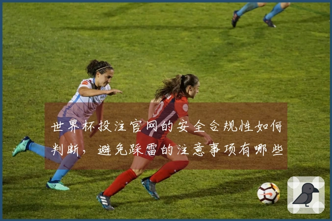 世界杯投注官网的安全合规性如何判断，避免踩雷的注意事项有哪些