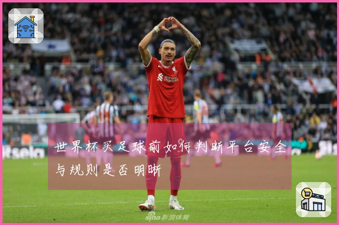 世界杯买足球前如何判断平台安全与规则是否明晰