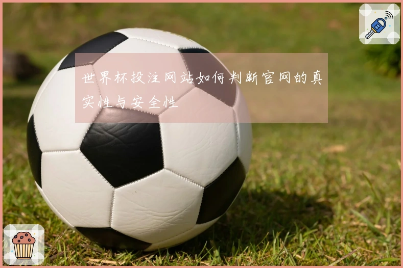 世界杯投注网站如何判断官网的真实性与安全性