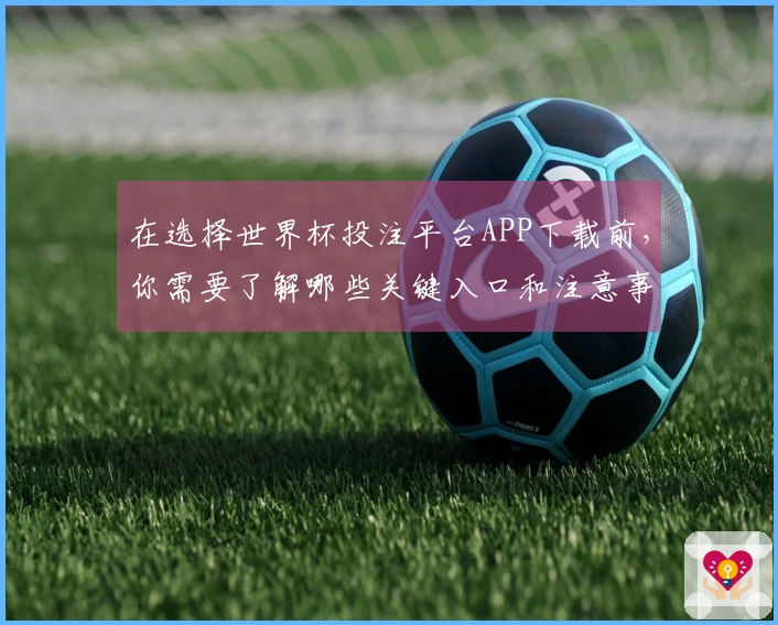 在选择世界杯投注平台APP下载前，你需要了解哪些关键入口和注意事项？