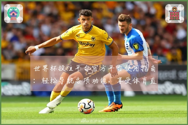 世界杯投注平台官方平台使用指南：轻松导航各项功能，享受体育直播体验