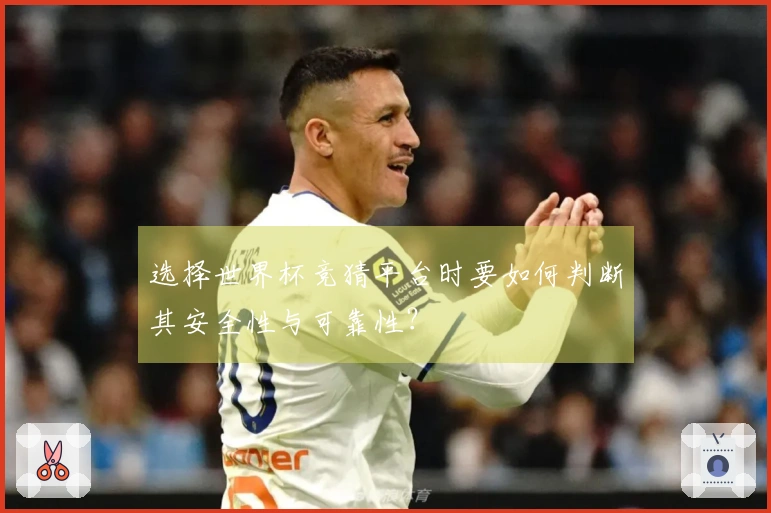 选择世界杯竞猜平台时要如何判断其安全性与可靠性？