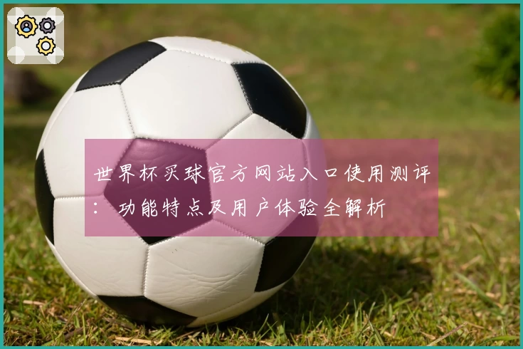 世界杯买球官方网站入口使用测评：功能特点及用户体验全解析