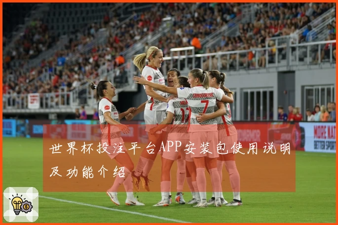 世界杯投注平台APP安装包使用说明及功能介绍