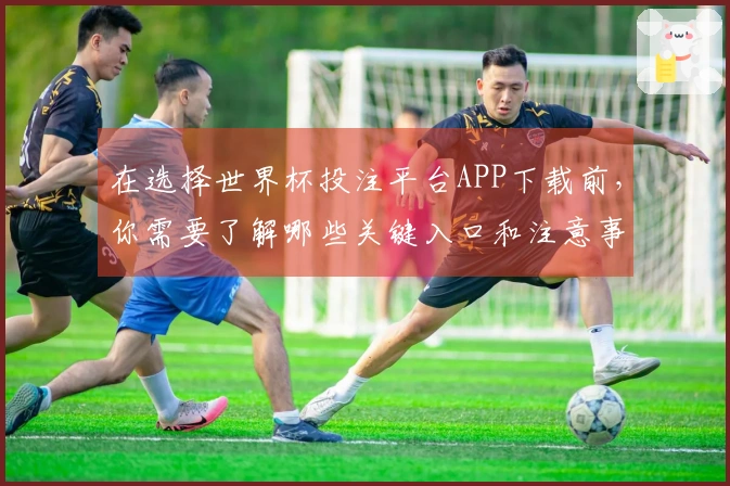 在选择世界杯投注平台APP下载前，你需要了解哪些关键入口和注意事项？